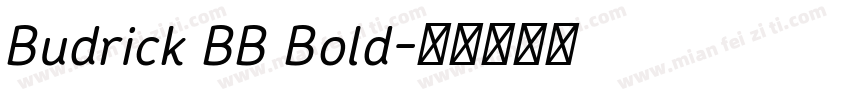 Budrick BB Bold字体转换